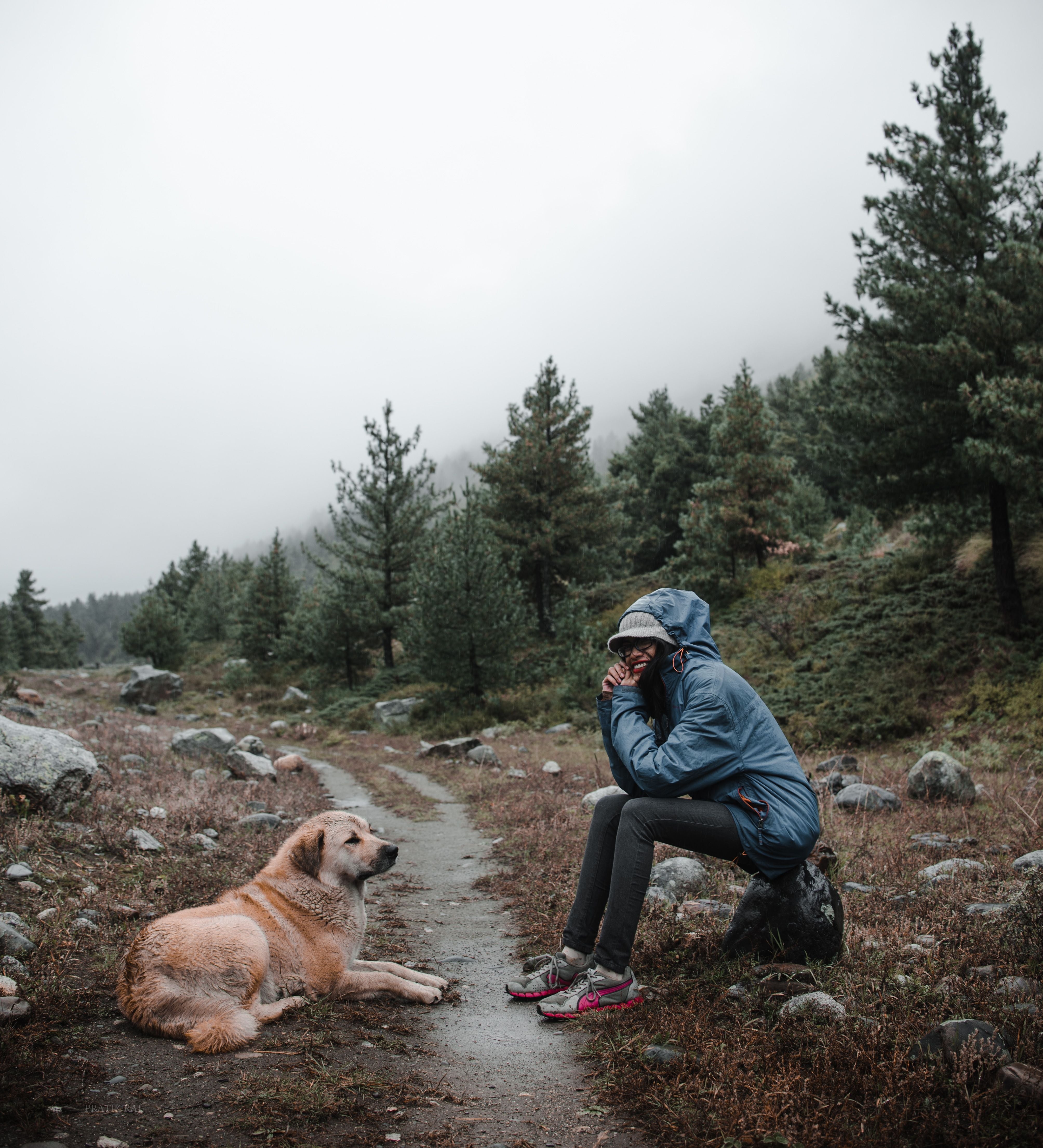 Adventure Dogs Life